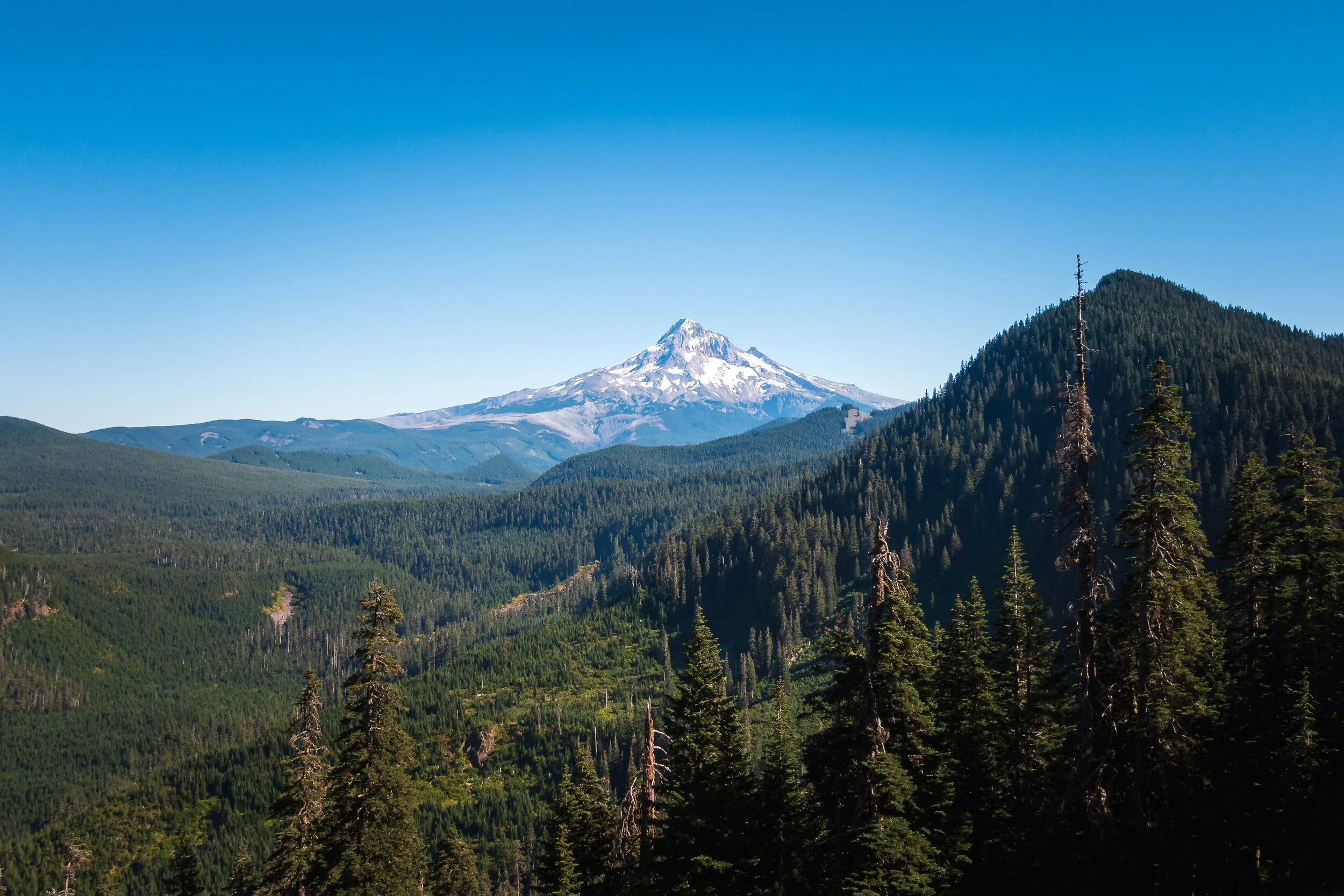 Looking back towards Mt. Hood.