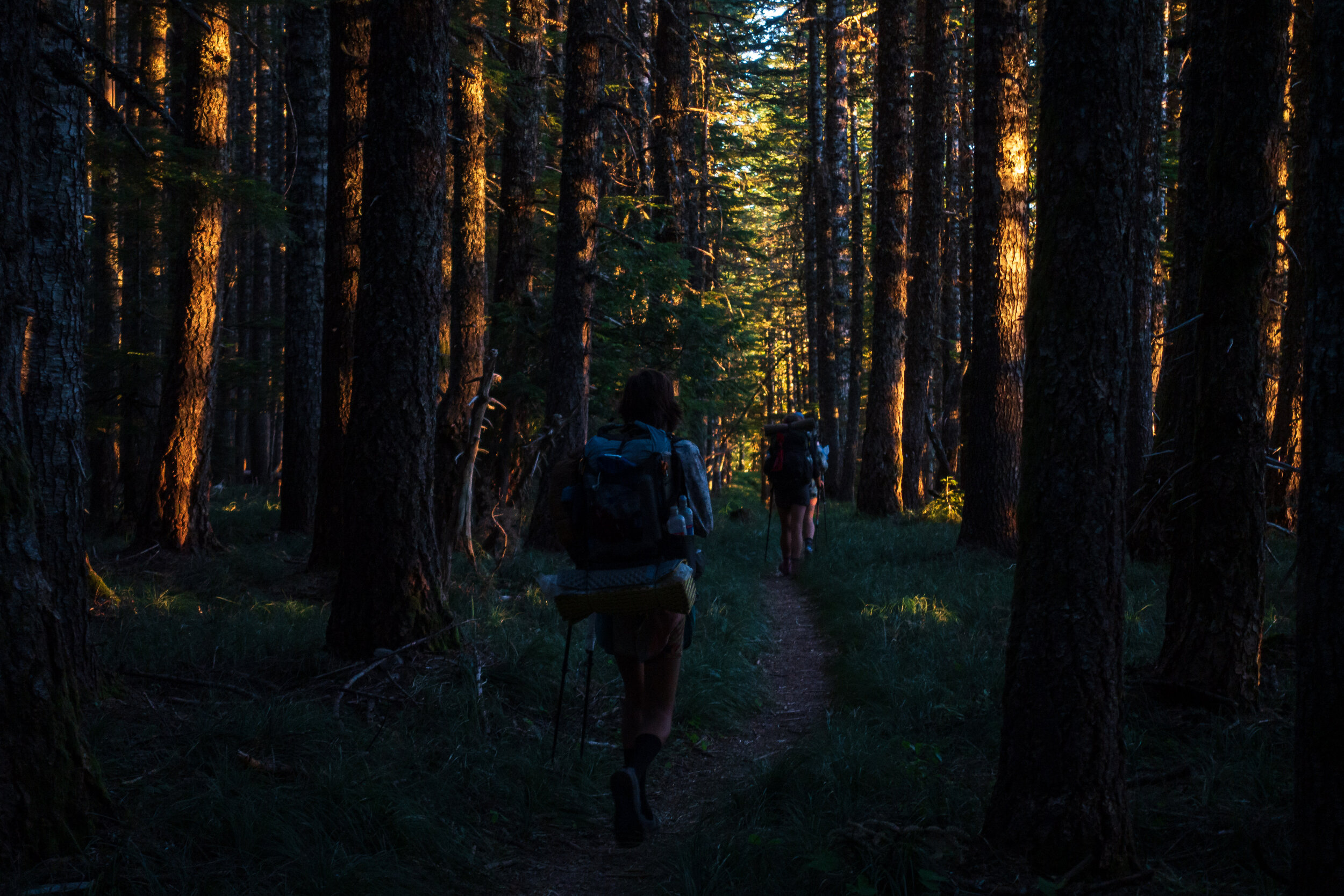 Hiking with the first rays of light.
