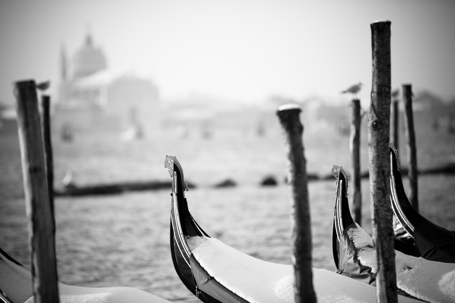 013_10.002_0071_venezia.neve_W.jpg