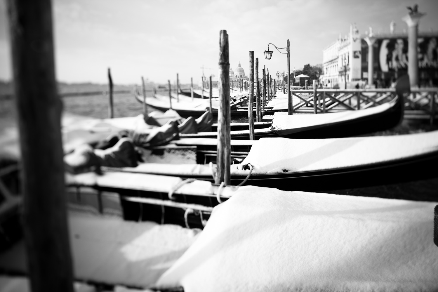 009_10.002_0060_venezia.neve_W.jpg