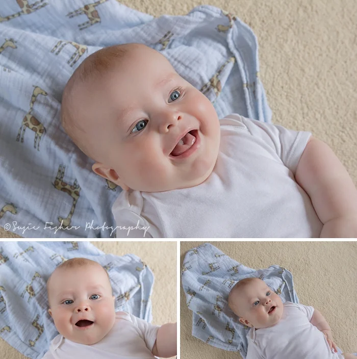 Baby-boy-professional-photographs-hartfield.jpg