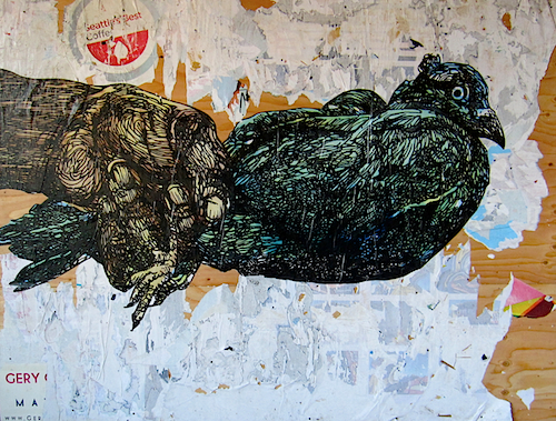 Pigeon #1