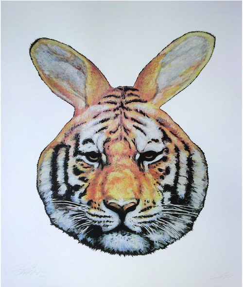 Tiger Rabbit