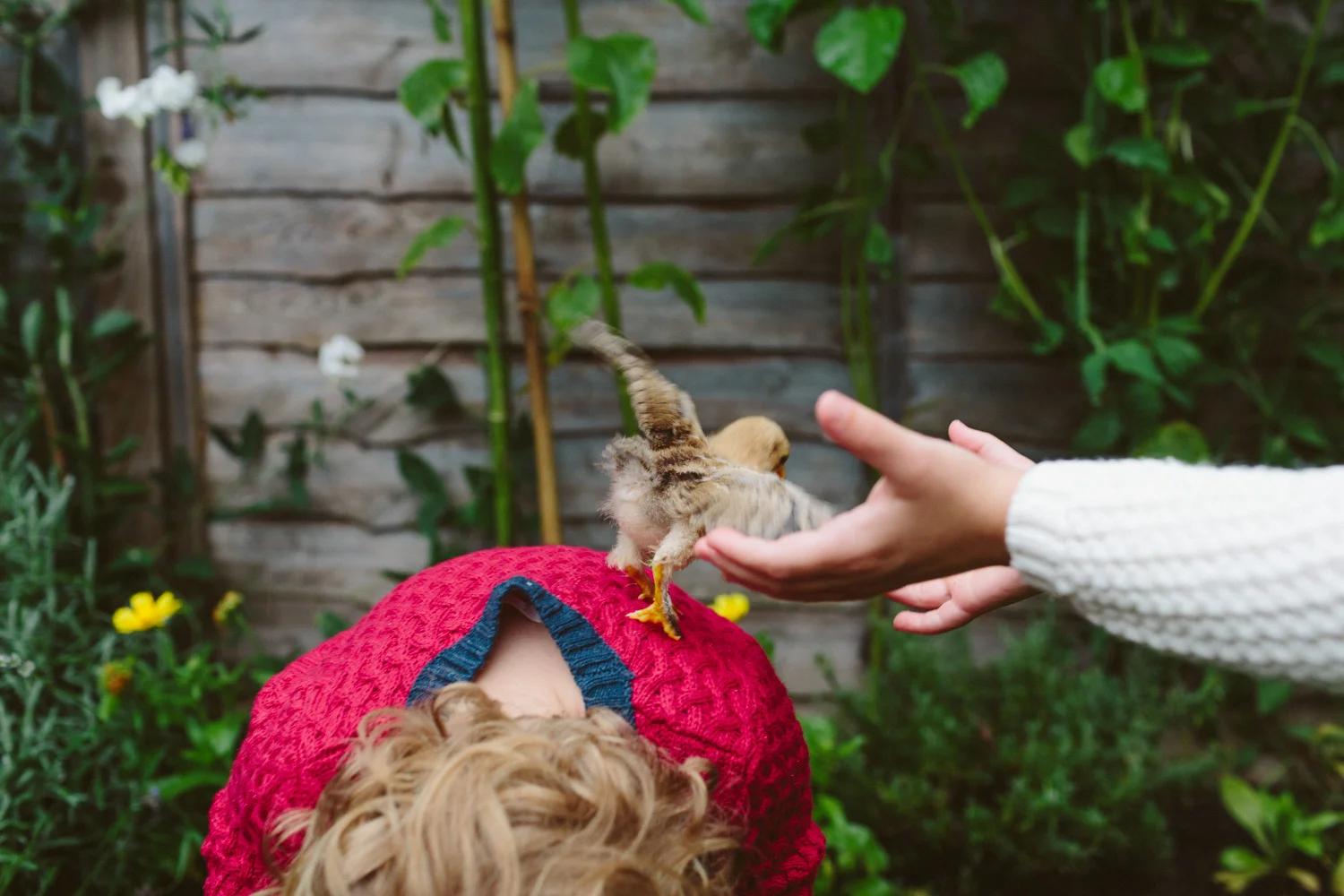 06_katierollings_kids_Lifestyle_photographer_london.jpg