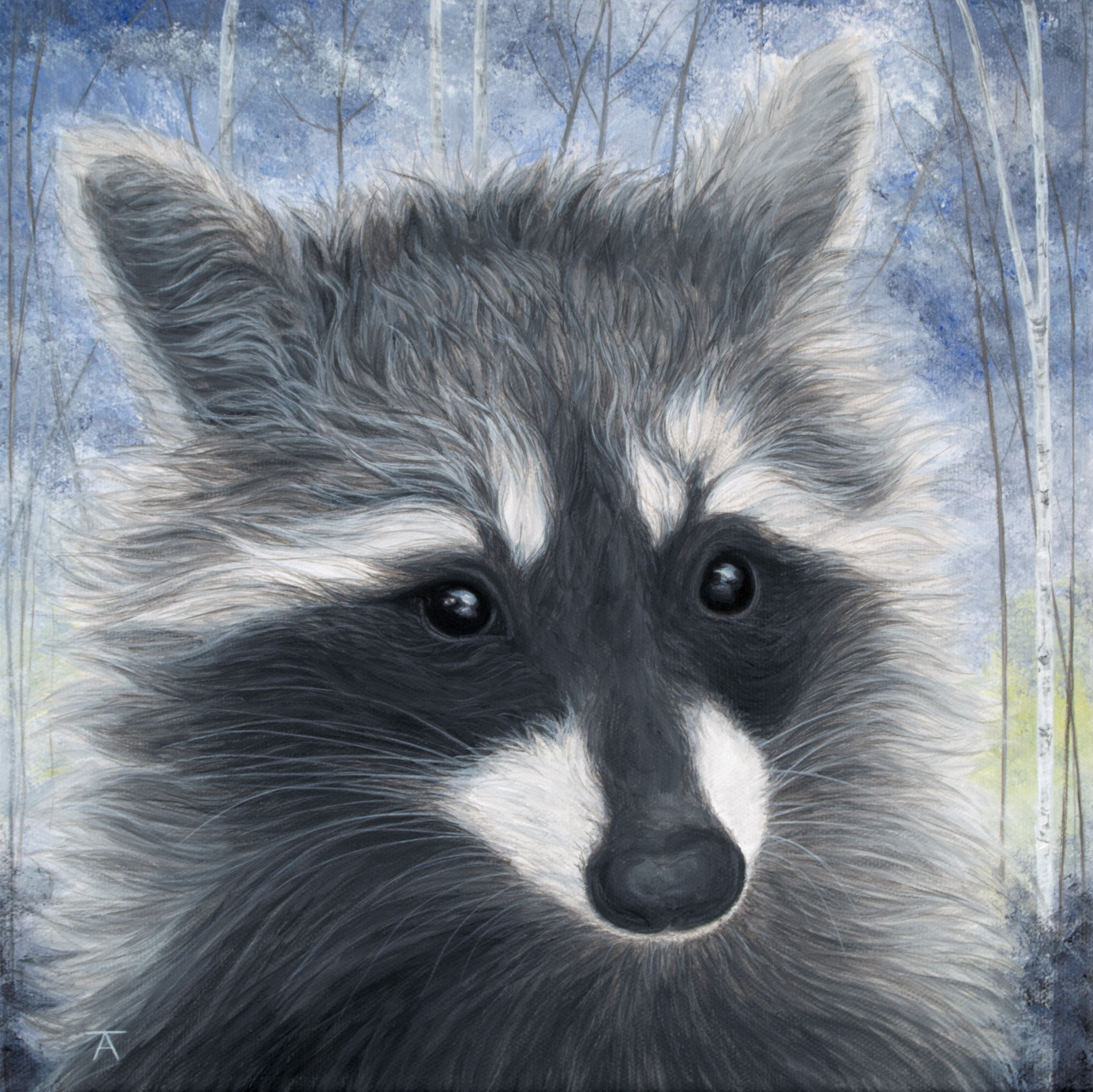 rocky raccoon - sold