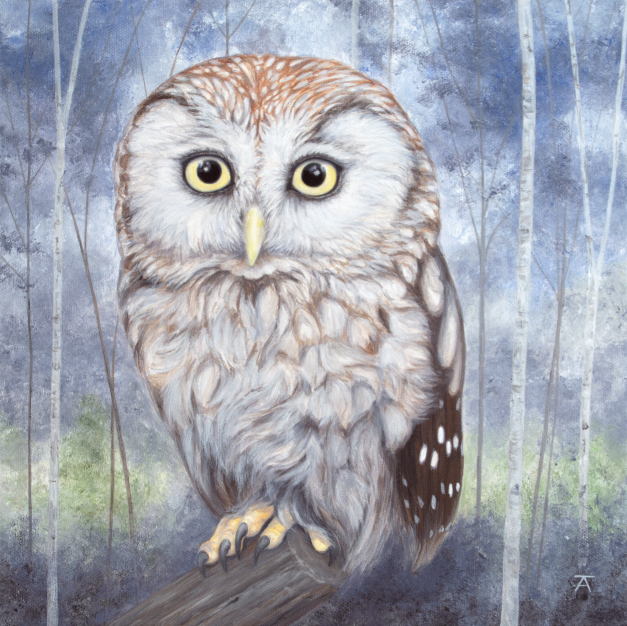 into the woods: the little owl - sold