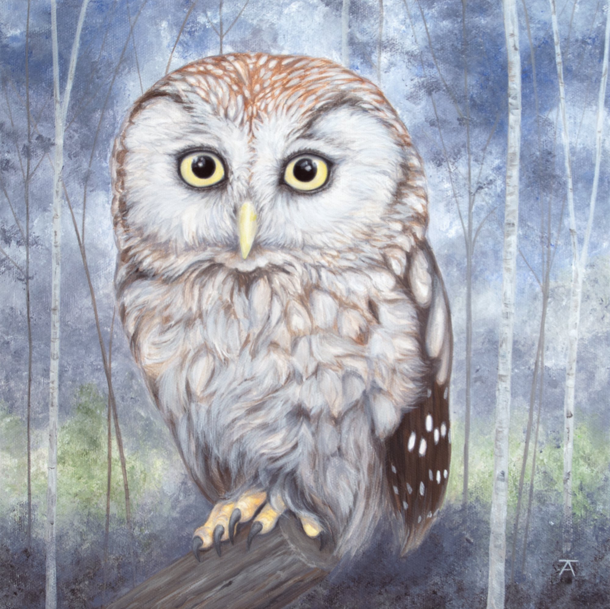 into the woods: the little owl
