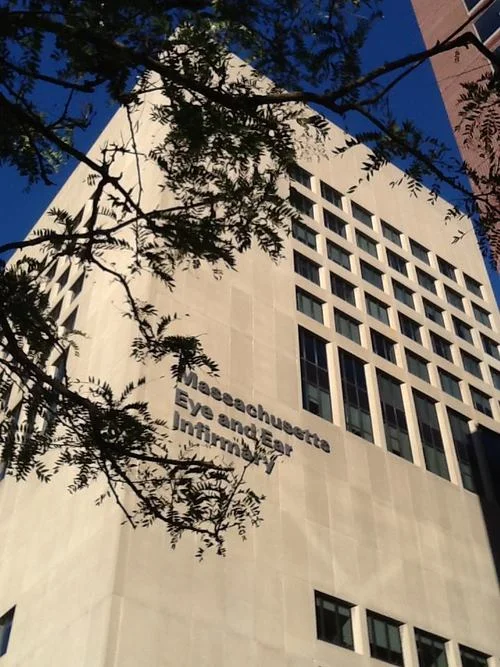 Vision Philanthropy Group is honored to serve as campaign counsel to Massachusetts Eye and Ear Infirmary's historic campaign: Bold Science. Life-Changing Cures. Mass. Eye and Ear is a teaching affiliate of Harvard Medical School.