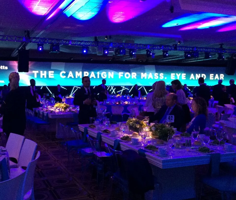 Susan led the campaign feasibility study and has served as campaign counsel to Mass. Eye and Ear's historic $200 million campaign, Bold Science. Life-Changing Cures.