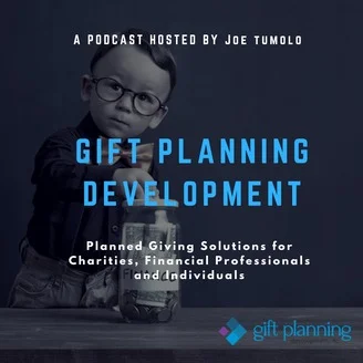 VPG President, Susan Holt, appeared as a guest on Joe Tumolo’s The Gift Planning Development podcast to discuss a “Step by Step Approach for Engaging Your Board in Transformational Philanthropy.” Listed to the full podcast below.