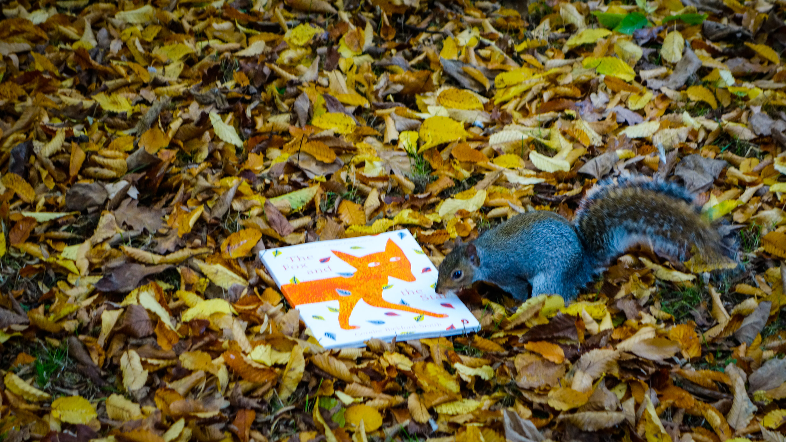"This book is nuts"