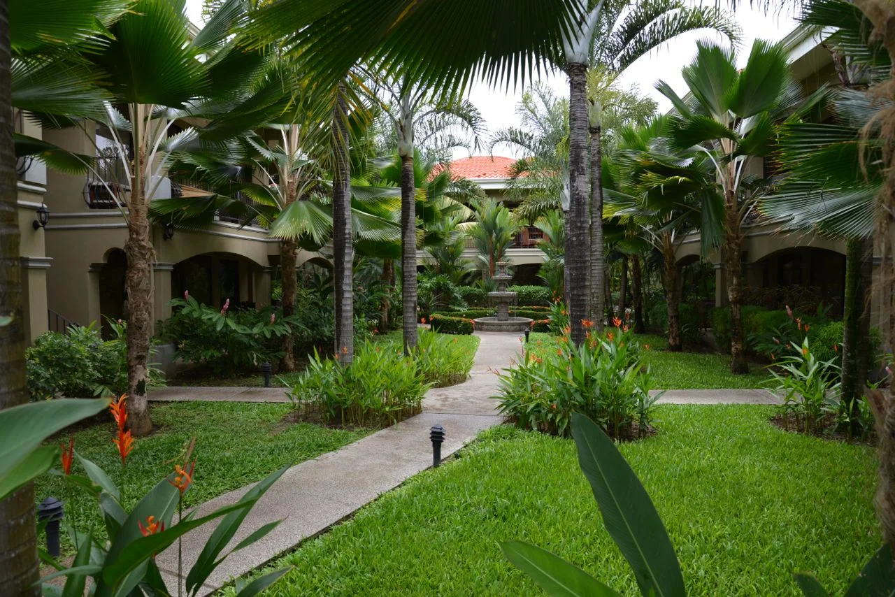Monte_Carlo_outdoor5.jpg