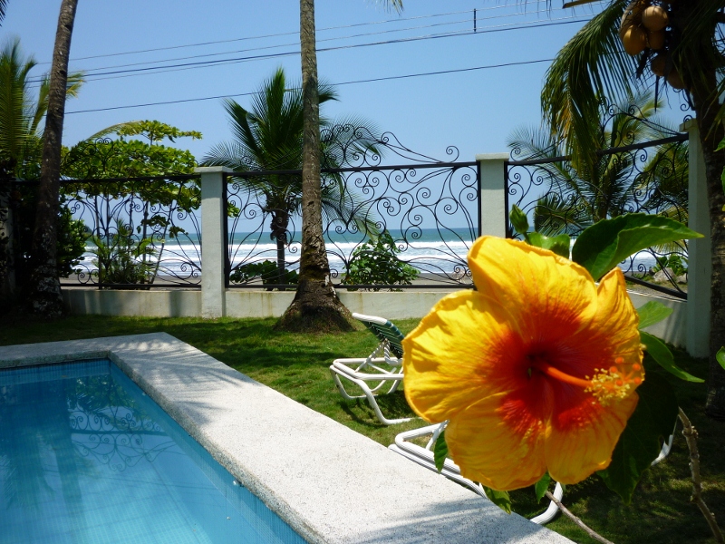 009-800x600.jpg