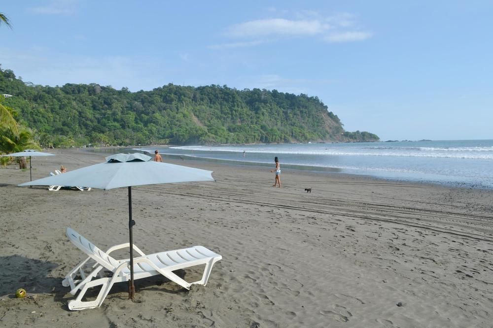 macaw beachfront.jpg