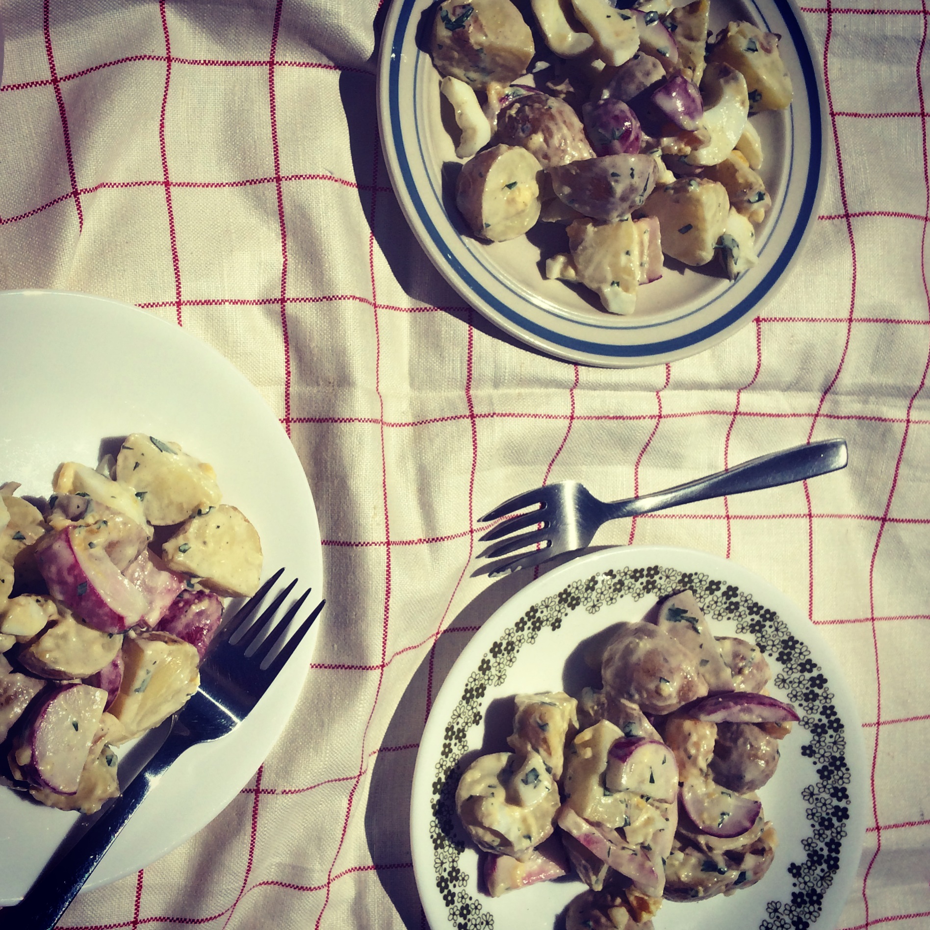 picnicking at the Russian River (potato salad with radishes and soft boiled eggs and cilantro on real plates!)