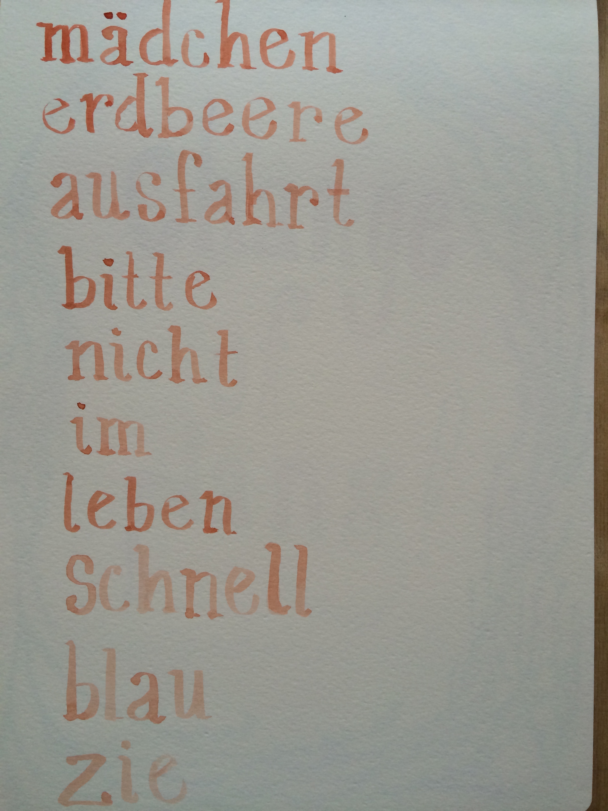 8/4/14 German words I know 