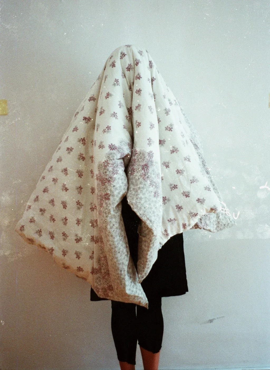 imm015_N15.jpg