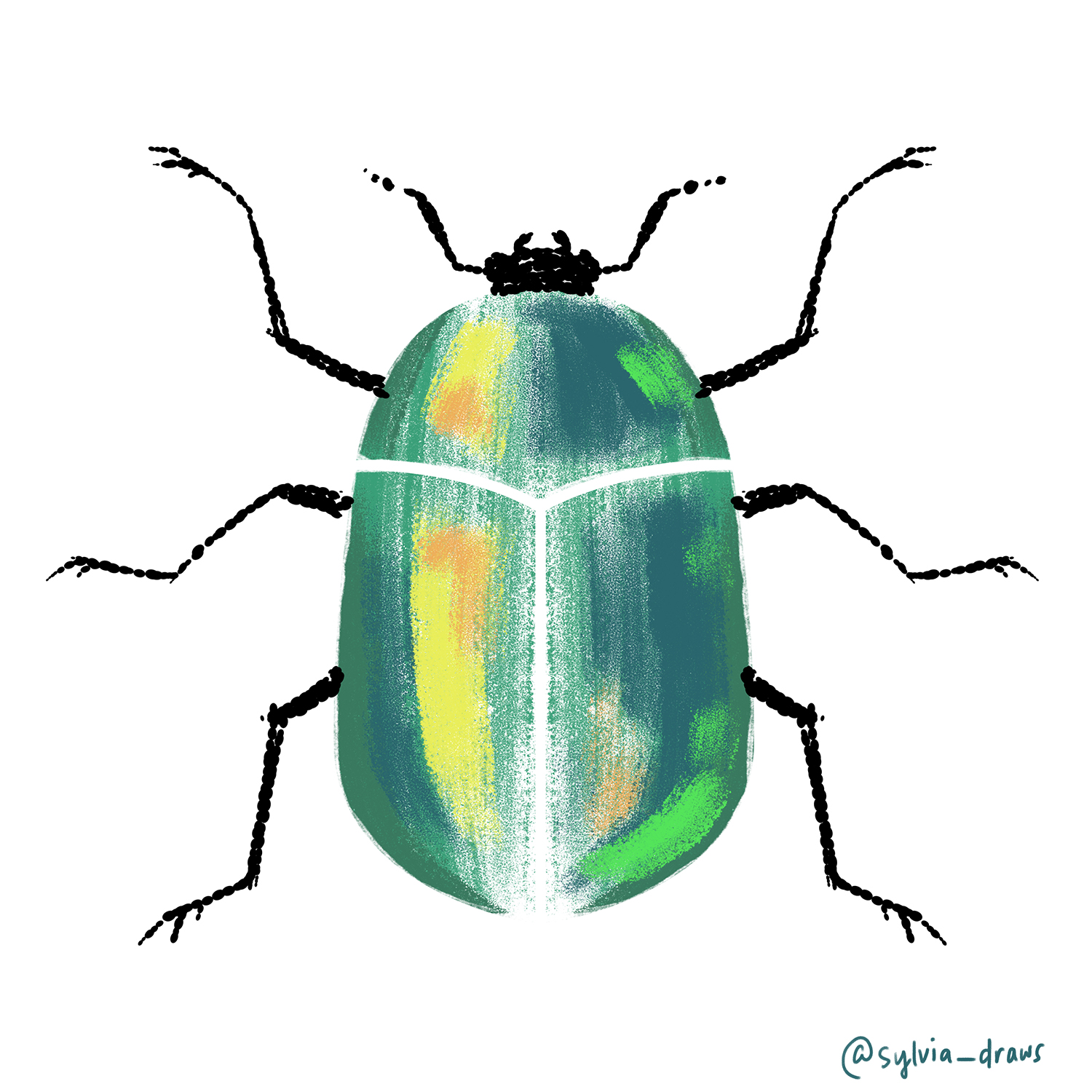 Junebug