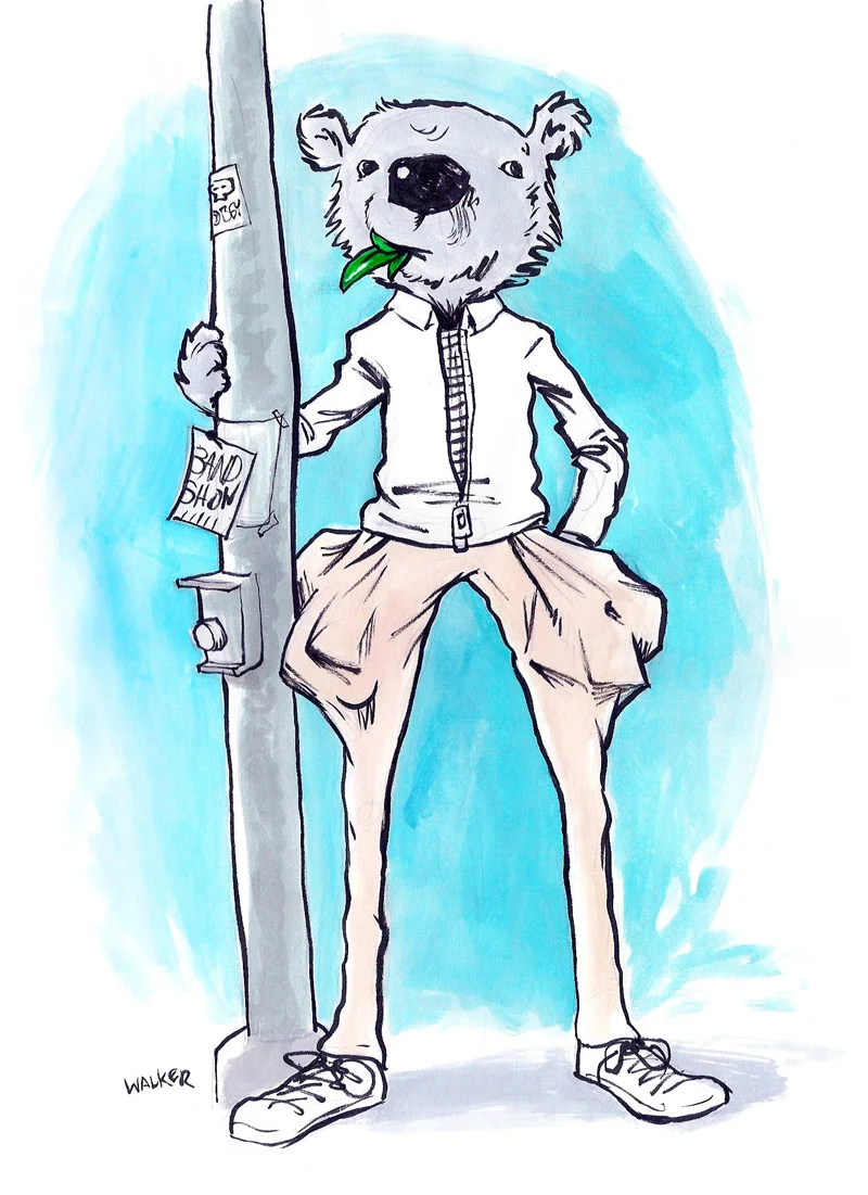 ​Khaki Koala