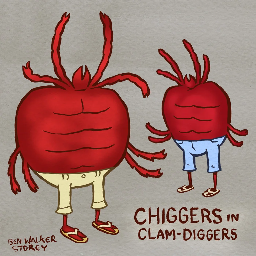 Chiggers.jpg