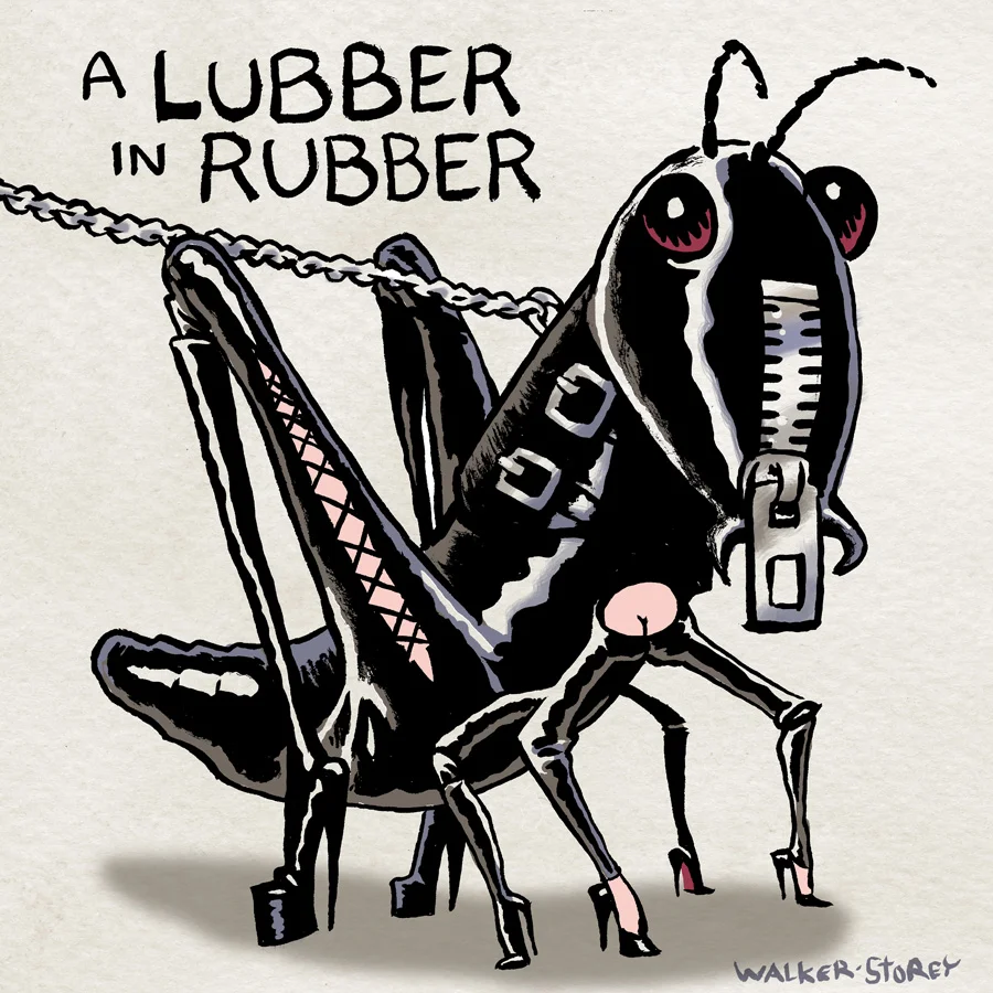 aLubber-in-Rubber