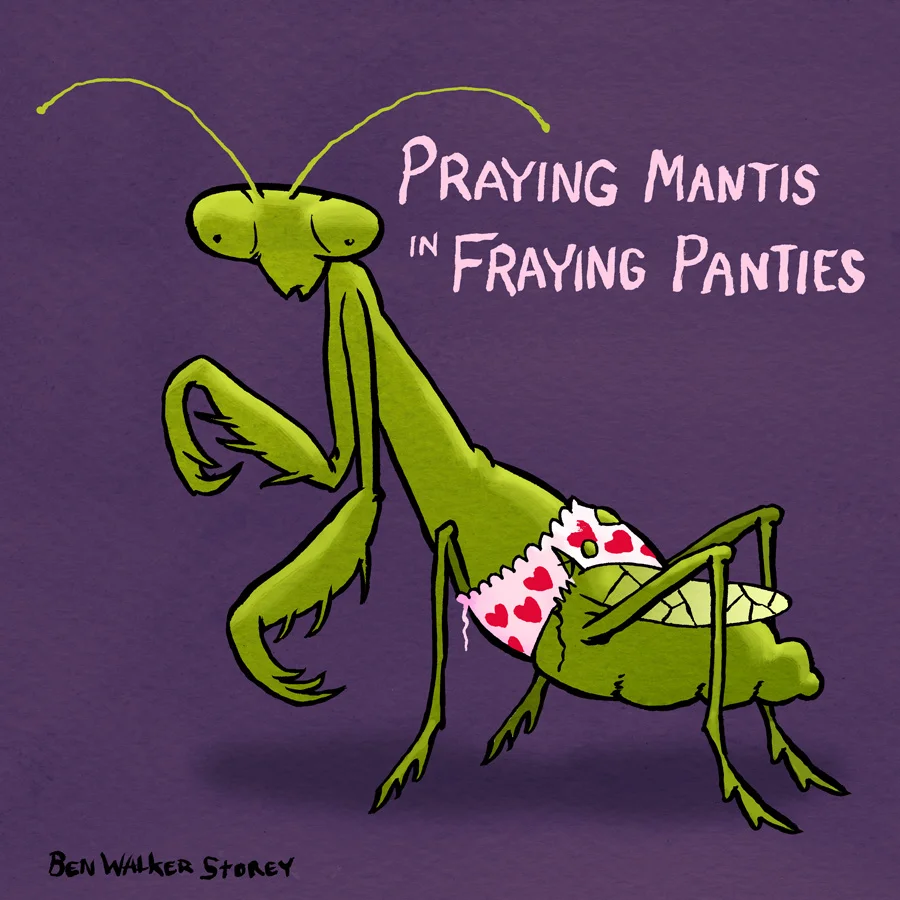 Praying-Mantis