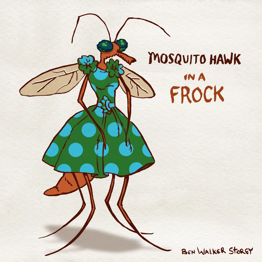 mosquito-hawk-in-frock