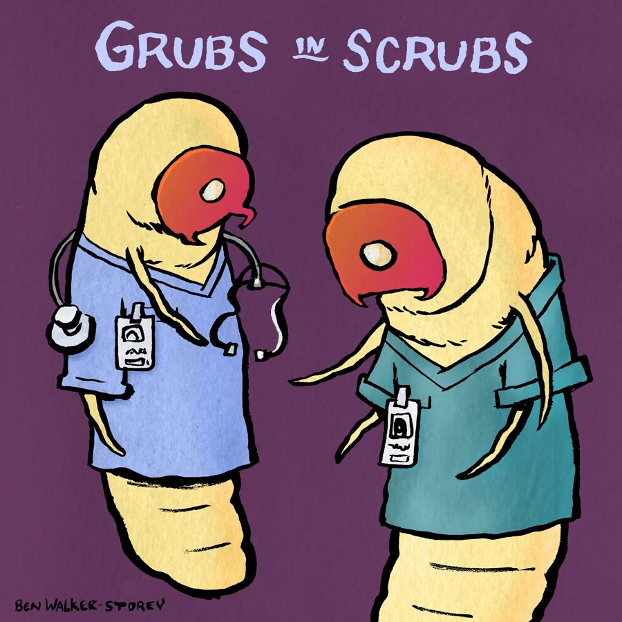 grubs-scrubs