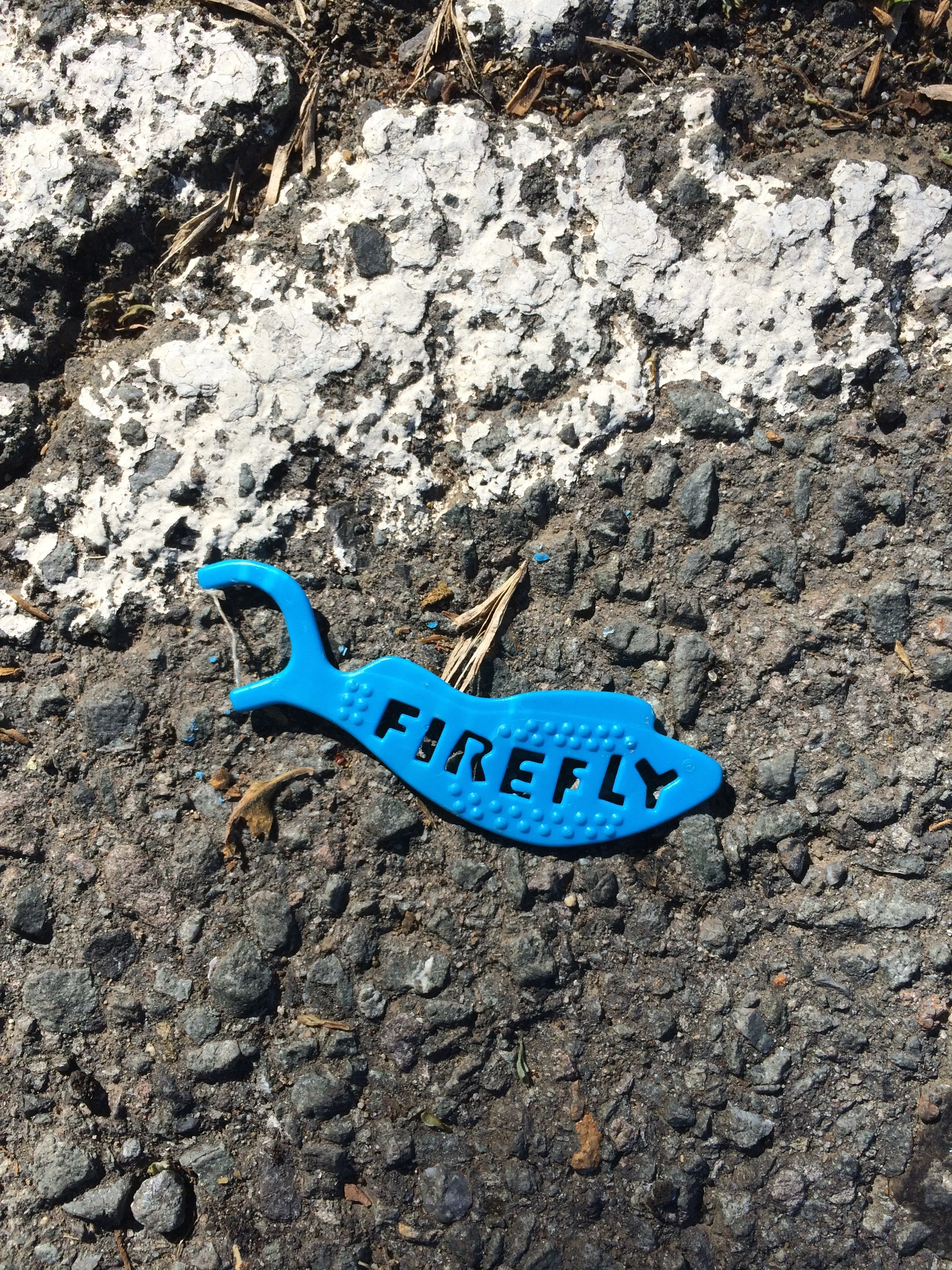 love how you can see the teeny tiny flecks of blue that have chipped off as it has been run over by cars - those bits will be in the creek before too long