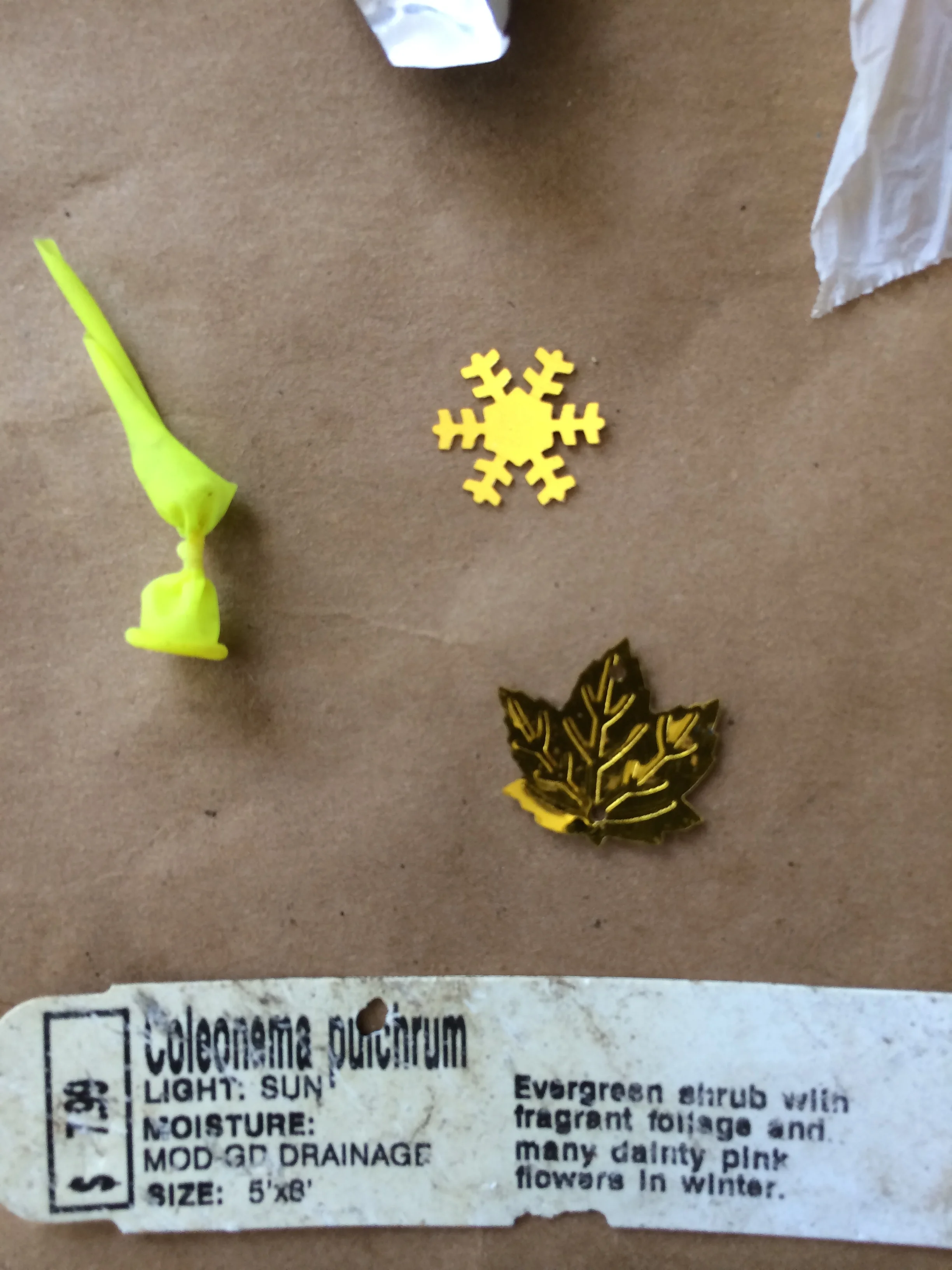 We'd shun laser cut plastic confetti - it's a seriously stupid use of plastic - Oh, water balloons are out too. Quit your whining, they kill animals.