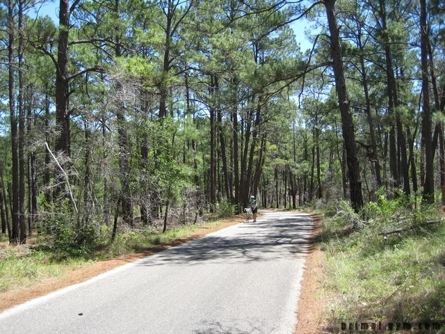 2009 ms 150 041909 006.jpg