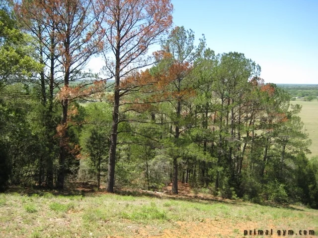 2009 ms 150 041909 002.jpg