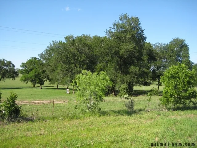 2009 ms 150 041909 028.jpg