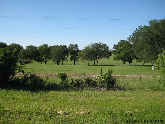 2009 ms 150 041909 027.jpg