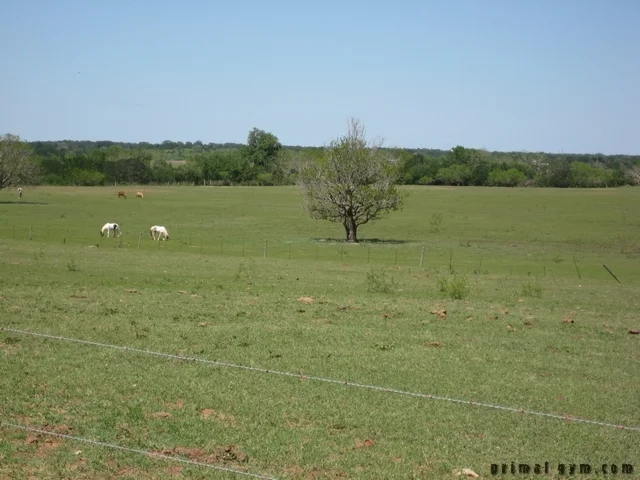 2009 ms 150 041909 017.jpg