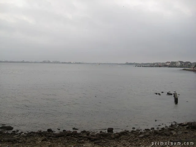 2011 ironman lonestar 70.3 016.jpg