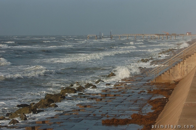 2011 ironman lonestar 70.3 013.jpg