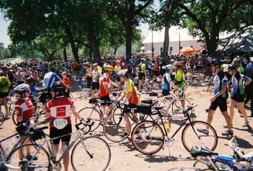 ms1502008 (47).jpg