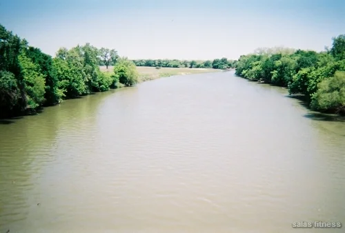 ms1502008 (23).jpg