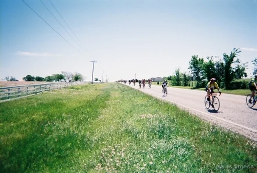 ms1502008 (49).jpg