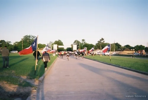 ms1502008 1.jpg