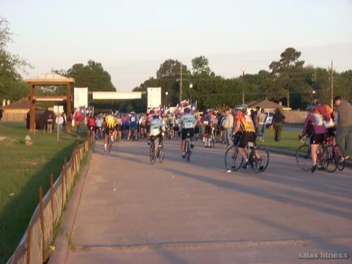 ms1502008 (2).jpg