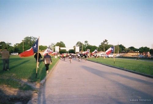 ms1502008 (0.1).jpg