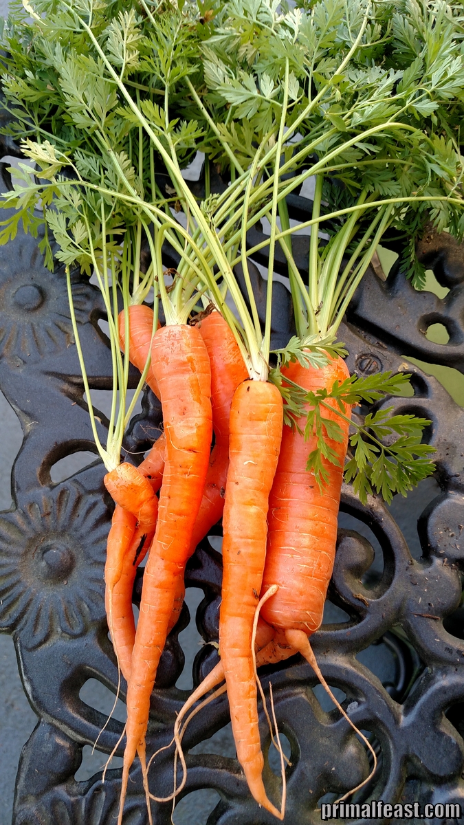 2015-0323-carrots-001.jpg