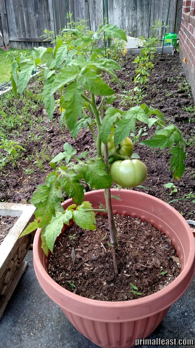 2015-0509-001.jpg