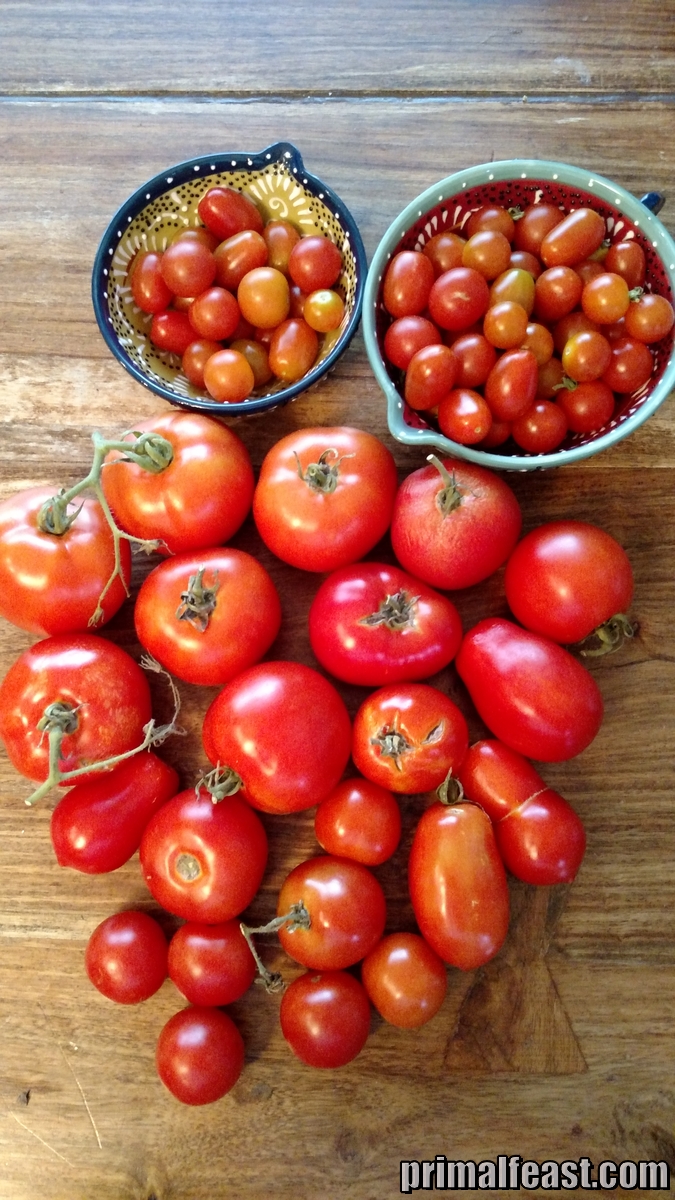 2015-0612-tomatoes-002-pf.jpg
