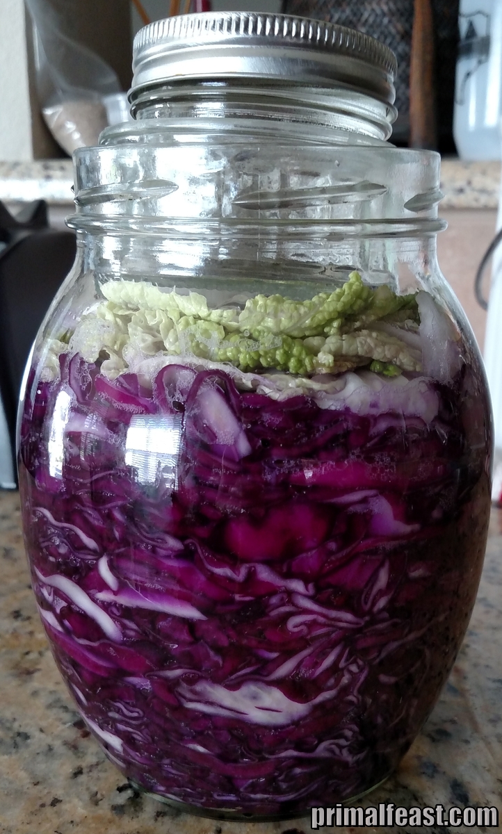 2015-0919-homemade-sauerkraut-004-pf.jpg