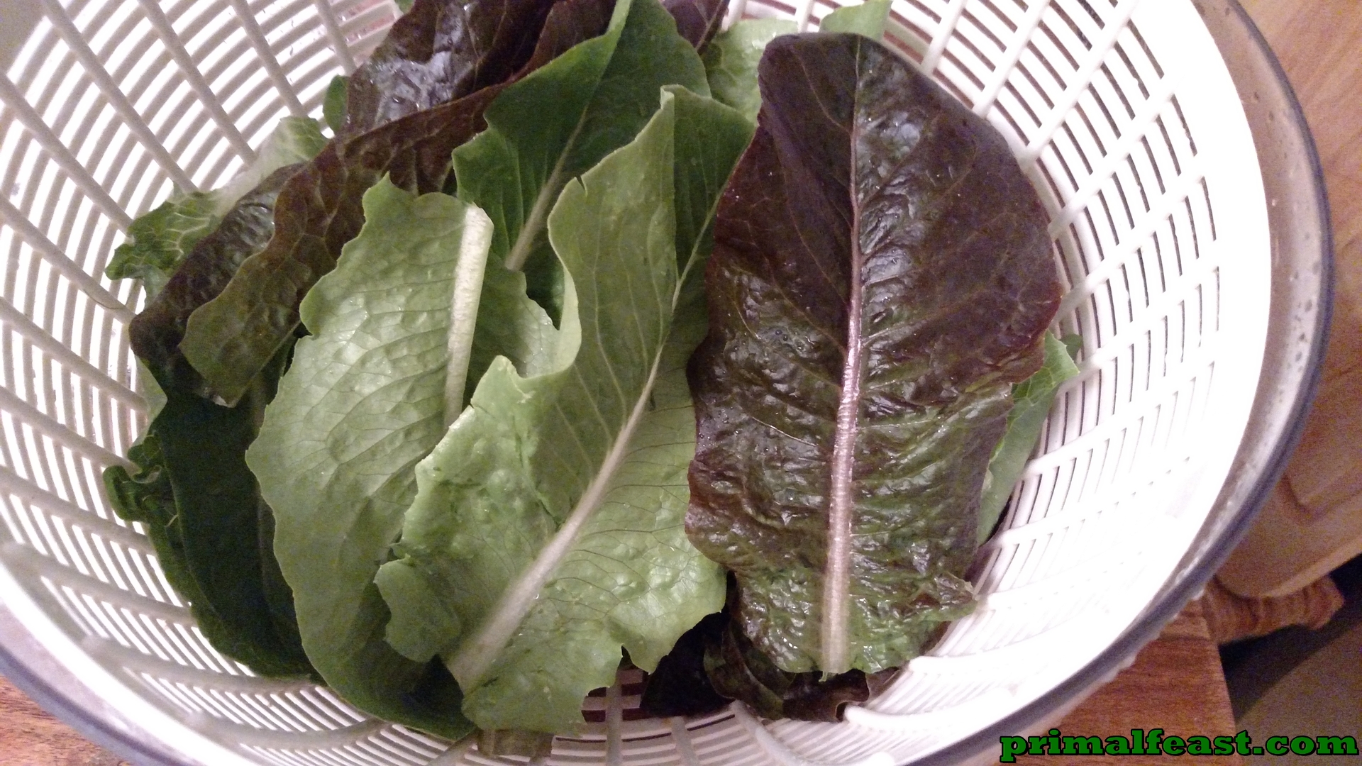 2015-1017-green-and-red-romaine-003.jpg