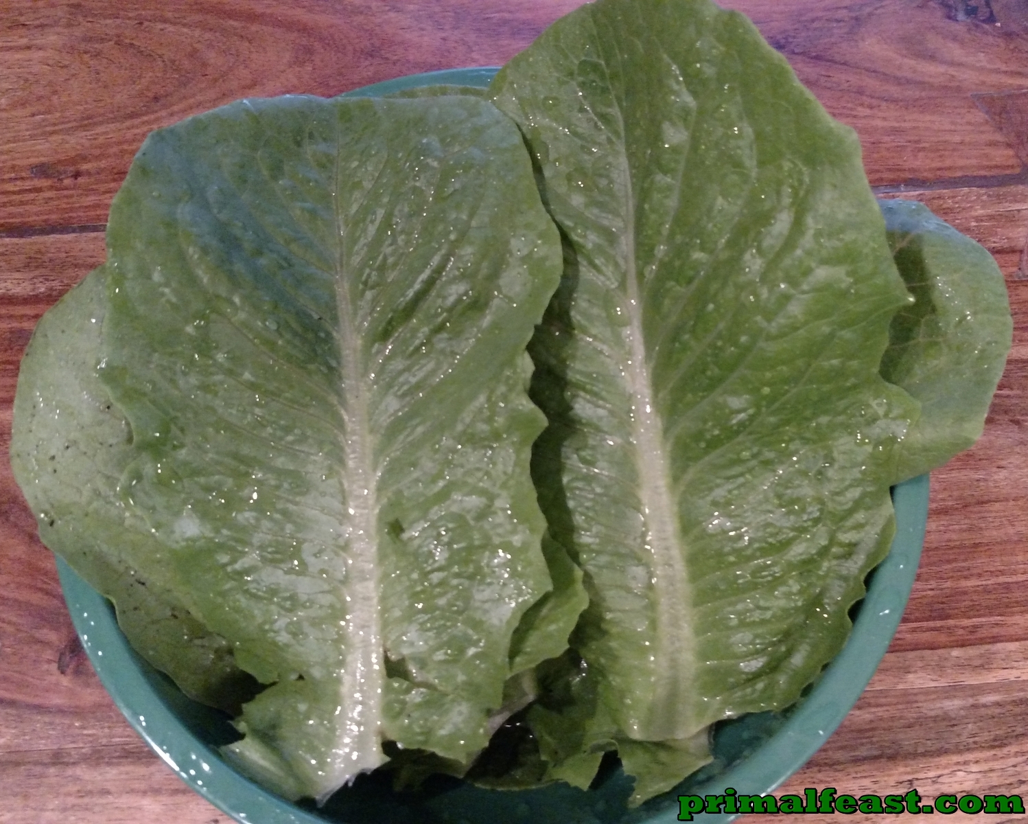 2015-1024-romaine-and-radish-002.jpg