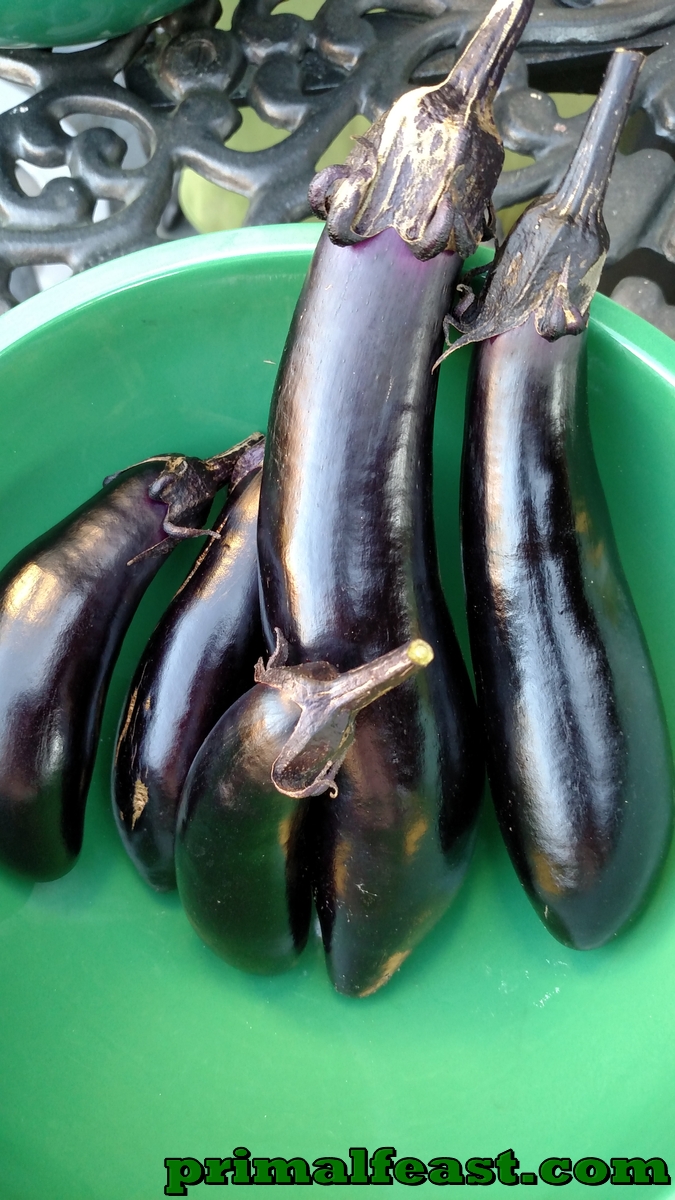 2015-1204-japanese-eggplant-001.jpg